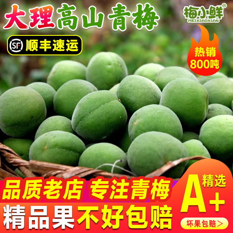 （顺丰速运）青梅鲜果新鲜现摘云南高山生梅子泡酒酸梅子酒酵素果