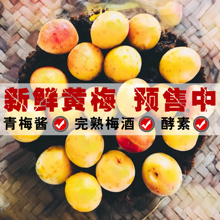 黄梅果新鲜散装 梅小鲜诏安完熟青梅果现摘生梅子酸梅胭脂黄梅果
