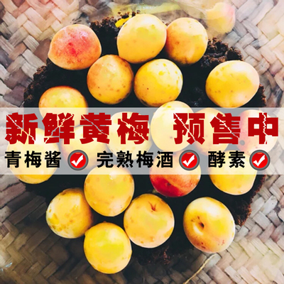 黄梅果新鲜散装 梅小鲜诏安完熟青梅果现摘生梅子酸梅胭脂黄梅果