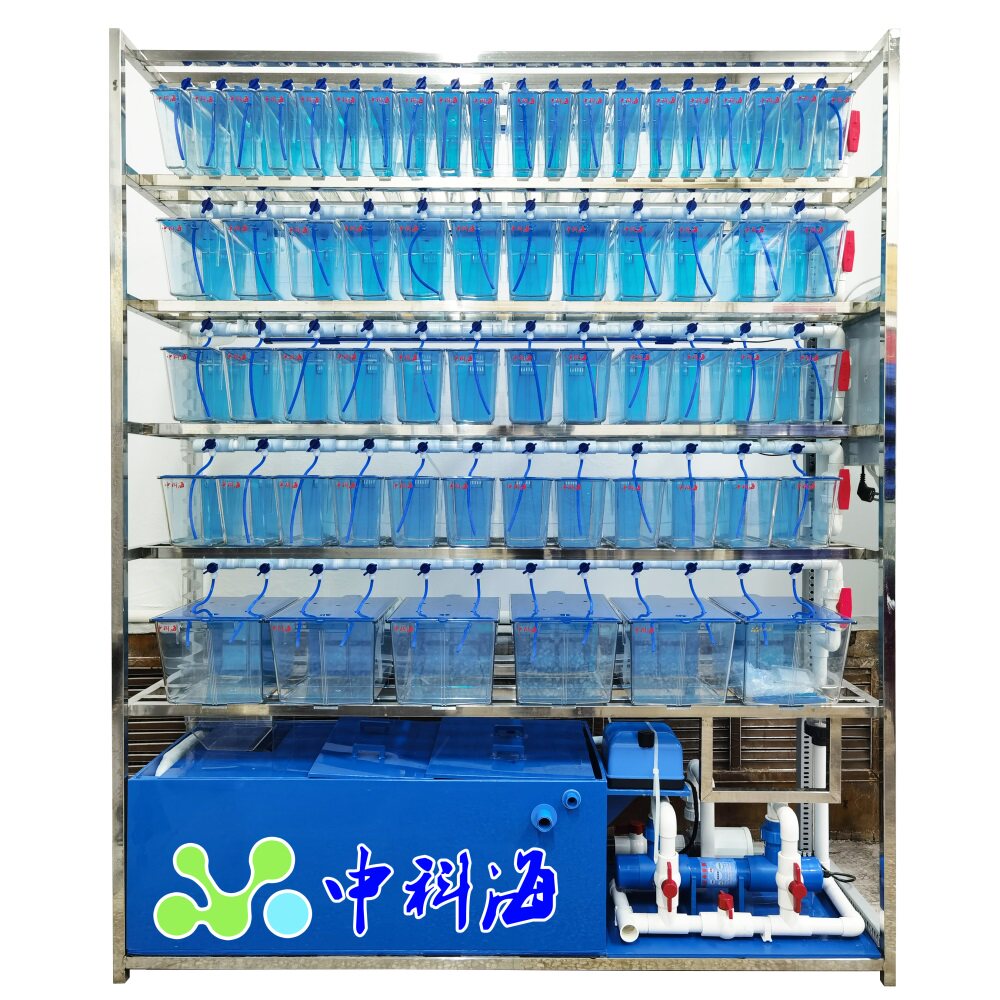 斑马鱼爪蟾饲养系统 水生物养殖实验 大学 科研机构 研究所实验室