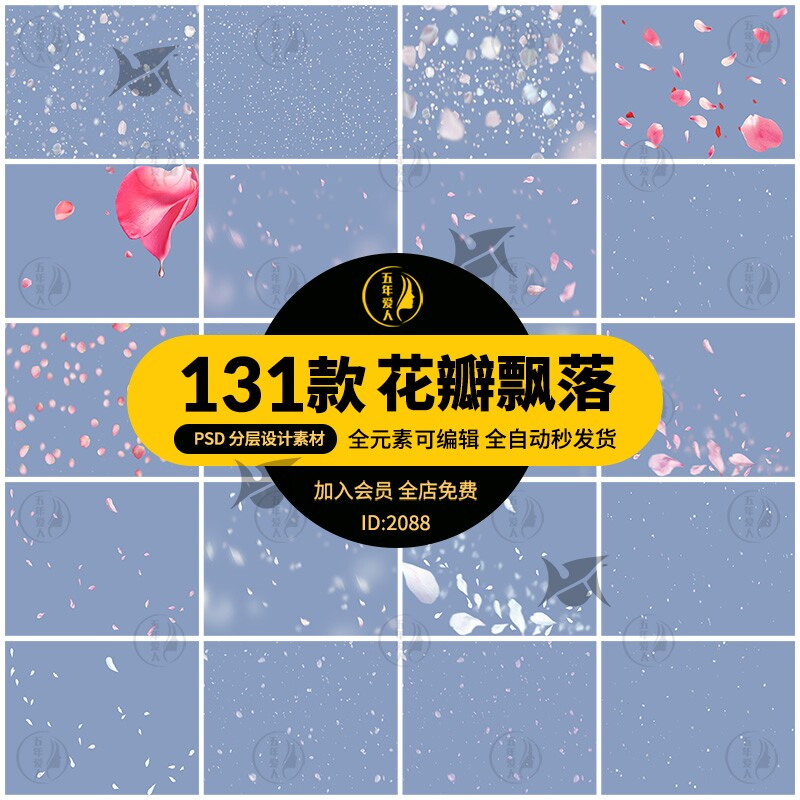 潮流樱花桃花玫瑰花瓣飘落洒落散落摄影影楼背景写真照片psd素材