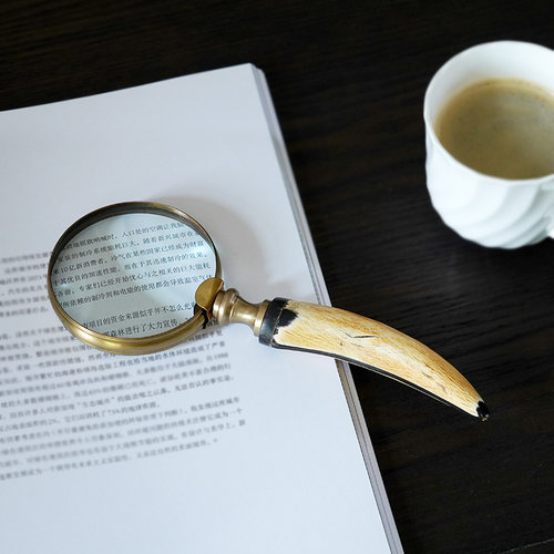 费灵家居黄铜欧式书房用品