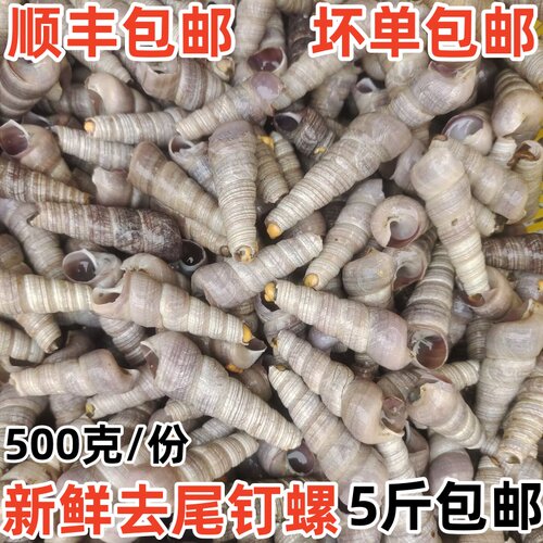 新鲜鲜活钉螺捞汁麻辣海鲜食材
