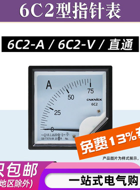 6C2型直流电流表/电压表