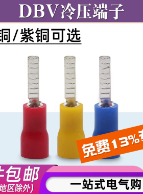 DBV1.25/2/5.5-10/14预绝缘冷压接线端子片形铜端头插片型铜鼻子
