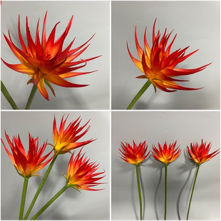 天堂鸟仿真花绿植造景火凤凰假花鹤望兰餐桌插花摆设客厅装饰花艺