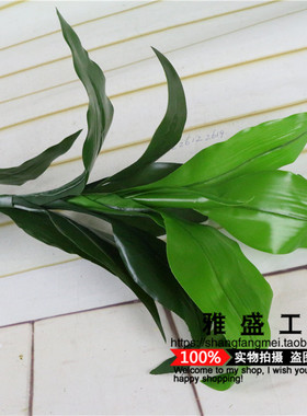 富贵竹田园乡村房间绿植装饰花