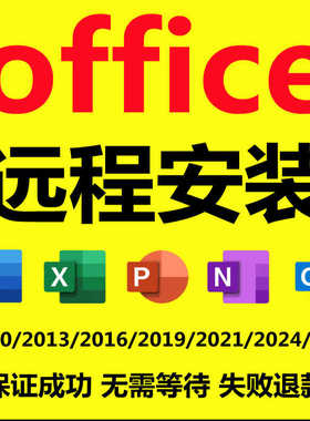 远程安装调试office  word excel ppt visio project办公软件2024