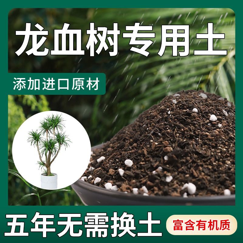 栽种龙血树专用土种龙须树营养土蓬松泥土无菌土壤专用肥料种植土