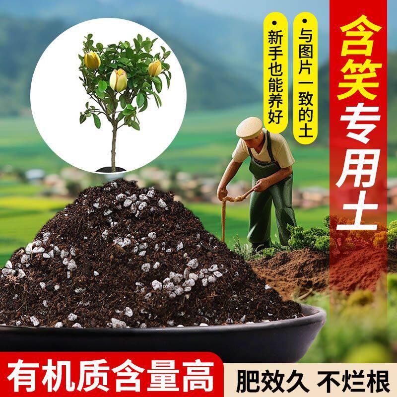 含笑营养土专用土疏松透气含泥炭肥料通用有机种植土轻质土壤