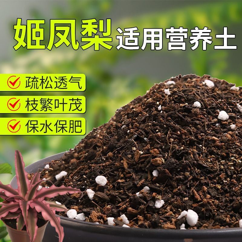【姬凤梨专用土】疏松透气盆栽绿植专用室内植物有机营养土肥料