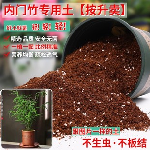 内门竹专用土轻质土米土竹子盆栽酸性沙质泥炭土透气专用营养土种