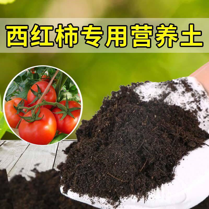 西红柿专用土家用种菜种植土有机土壤阳台蔬菜盆栽土西红柿营养土