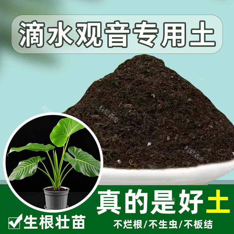 滴水观音专用土阳台盆栽土滴水观音营养土栽培土养花土透气通用土