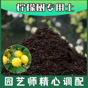 柠檬树专用土腐殖土蓬松农业果树土柠檬树专用营养土种植有机土壤