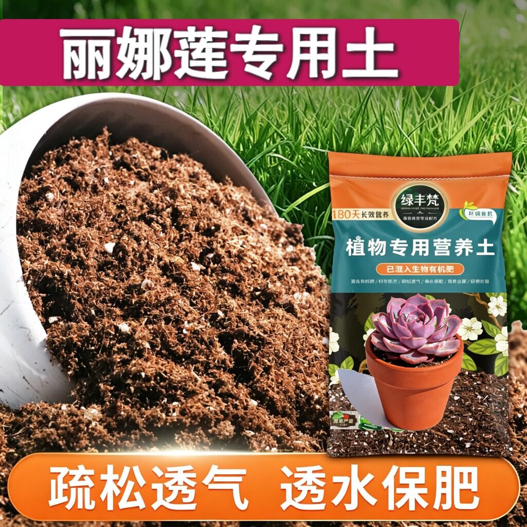丽娜莲适用花泥不烧根不烧苗种菜盆栽土无菌防徒长无草籽木本多肉