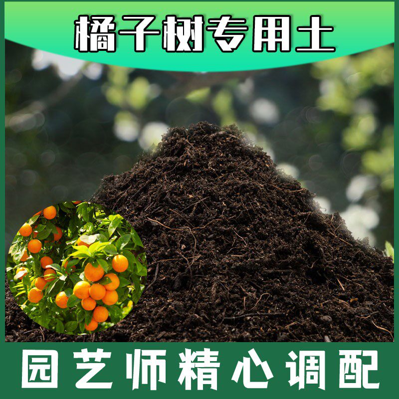 橘子树专用土腐殖土种花养花盆栽土橘子树营养土肥料种植有机土壤