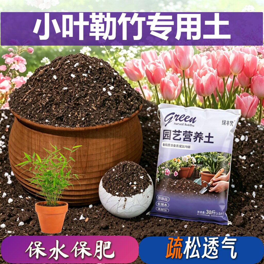 小叶勒竹适用含泥炭腐殖泥炭土不闷根盆栽加深生根粉优质壮根球根