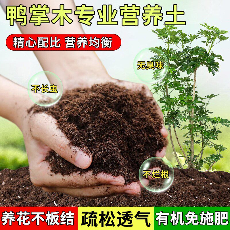 鸭掌木专用土鸭掌木专用营养土盆栽土养花种花土通用种植土壤肥料