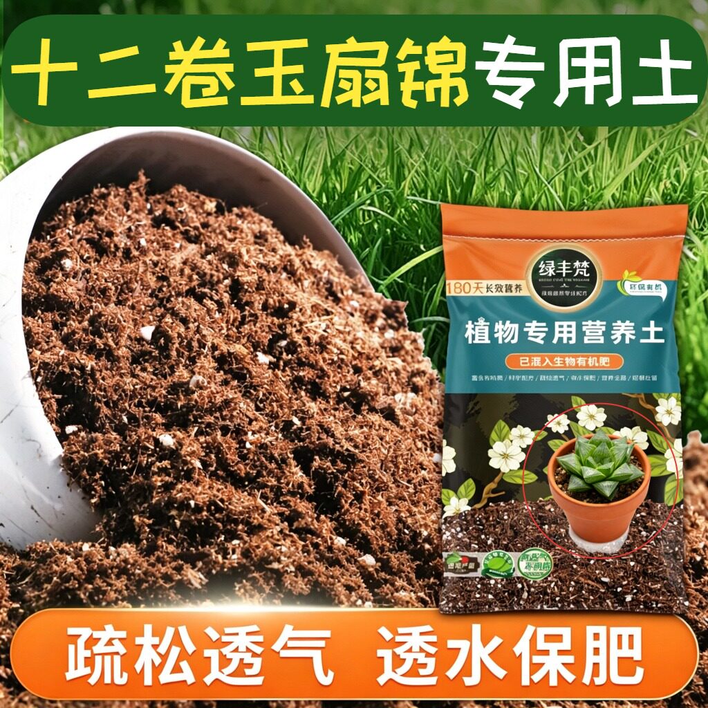 十二卷玉扇锦适用轻质土种植土安全可靠舒缓根系开袋即用观叶