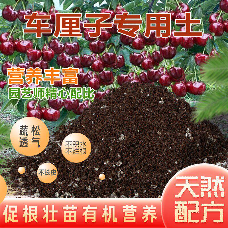 车厘子专用土营养土种果树樱桃树专用土泥土种植土树苗专用肥料