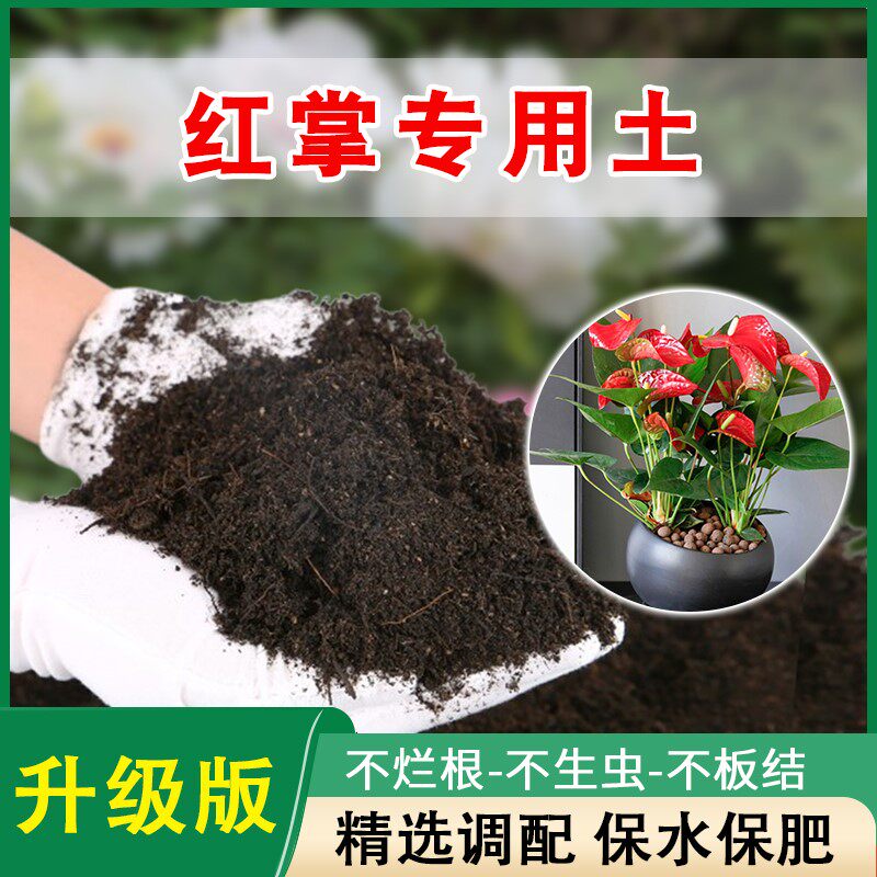 红掌专用土一帆风顺营养土红白掌盆栽土专用肥料种花有机通用土壤