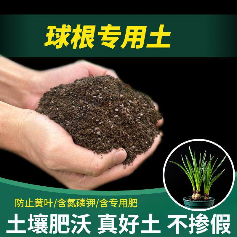 球根专用土植物花园花肥椰砖疏松盆栽专用土家用花土有机土营养土