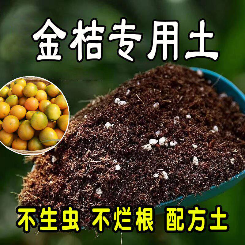 金桔专用营养土 金桔专用土 通用型盆栽花土种花养花果树种植土壤