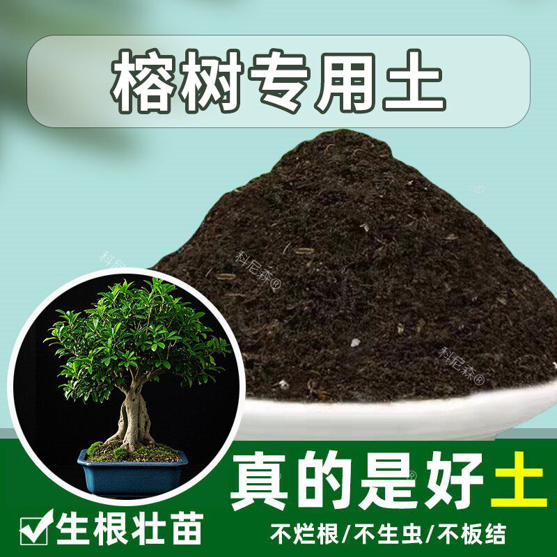 榕树专用土透气椰砖土肥料土花卉土榕树营养土有机土通用土养花土