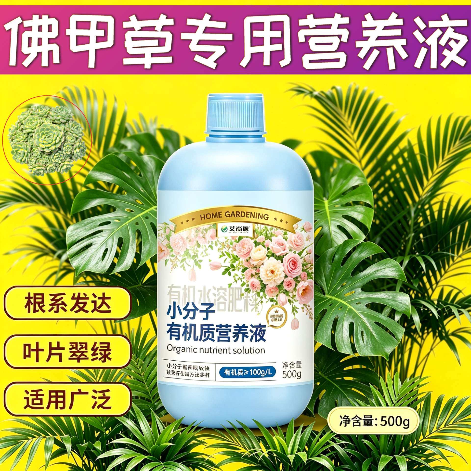 佛甲草专用有机营养液叶绿花艳园艺家用根叶双补适用浓缩高效盆栽