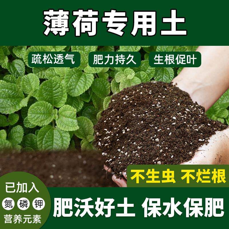 薄荷专用土肥料优质型阳台养花通用型吸收快薄荷营养土壮根防生虫