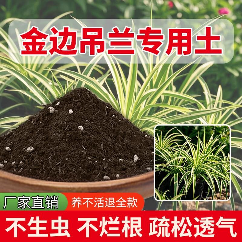 金边吊兰专用土通用肥料有机肥绿植家用育苗花土养花专用土阳台