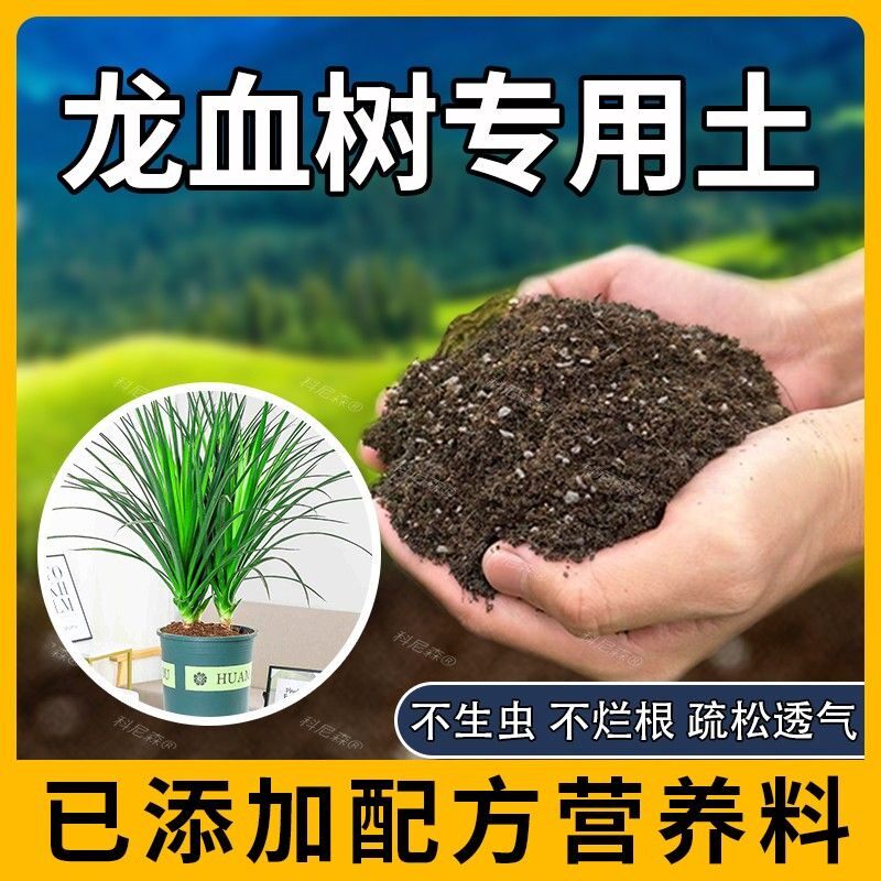 龙血树专用土肥料园艺绿植泥土龙须树营养土阳台椰砖花草种植花卉