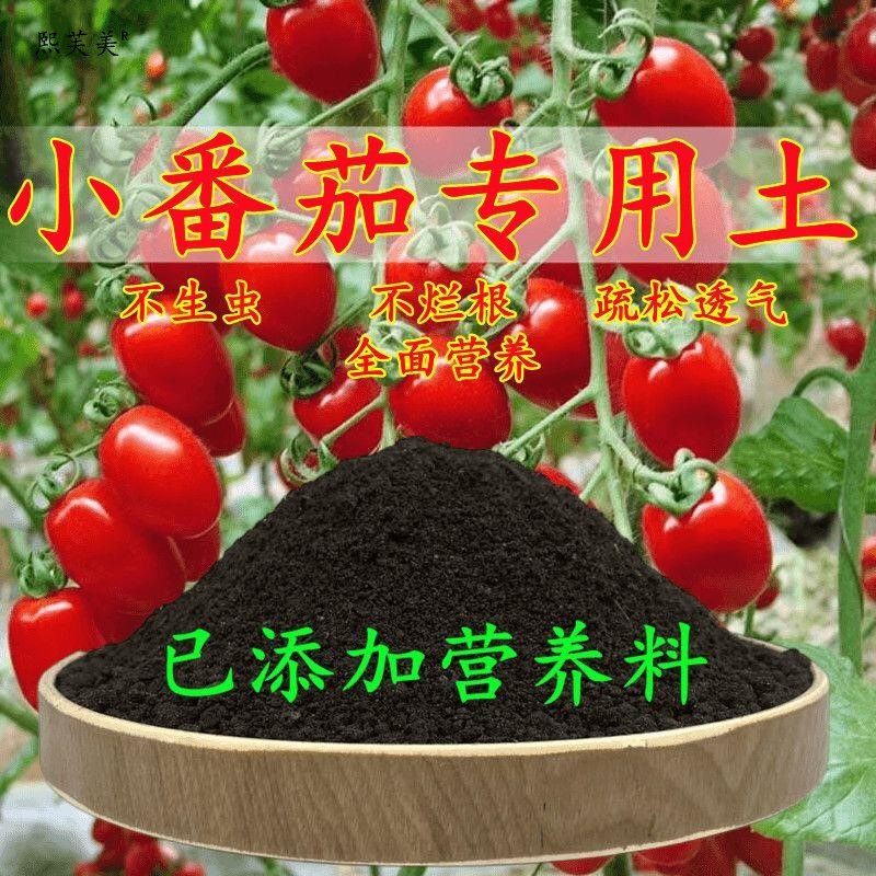 小番茄专用土番茄专用营养土盆栽养花种花土通用种植土壤有机肥料