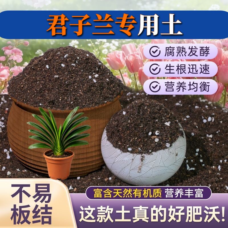 君子兰专用营养土高温腐熟腐殖泥炭土盆景包邮天然防黄叶木本大包