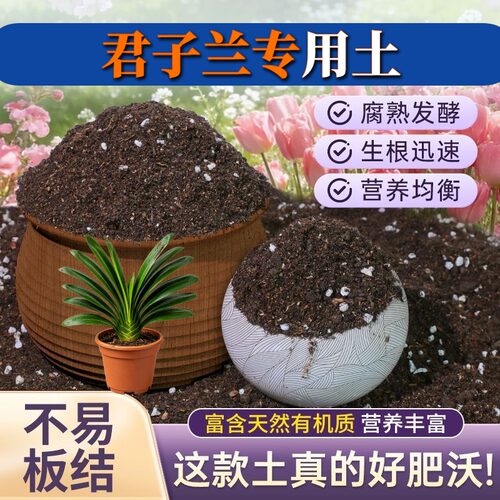 君子兰专用营养土高温腐熟腐殖泥炭土盆景包邮天然防黄叶木本大包