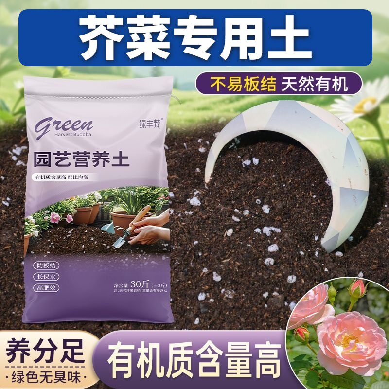 芥菜专用进口泥炭土根壮苗好盆景加有机肥无菌绿叶喜酸多肉室内