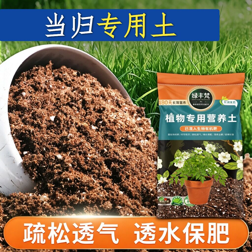 当归专用基质家庭适用多肉种植土性质稳定防徒长开袋即用观叶屋顶