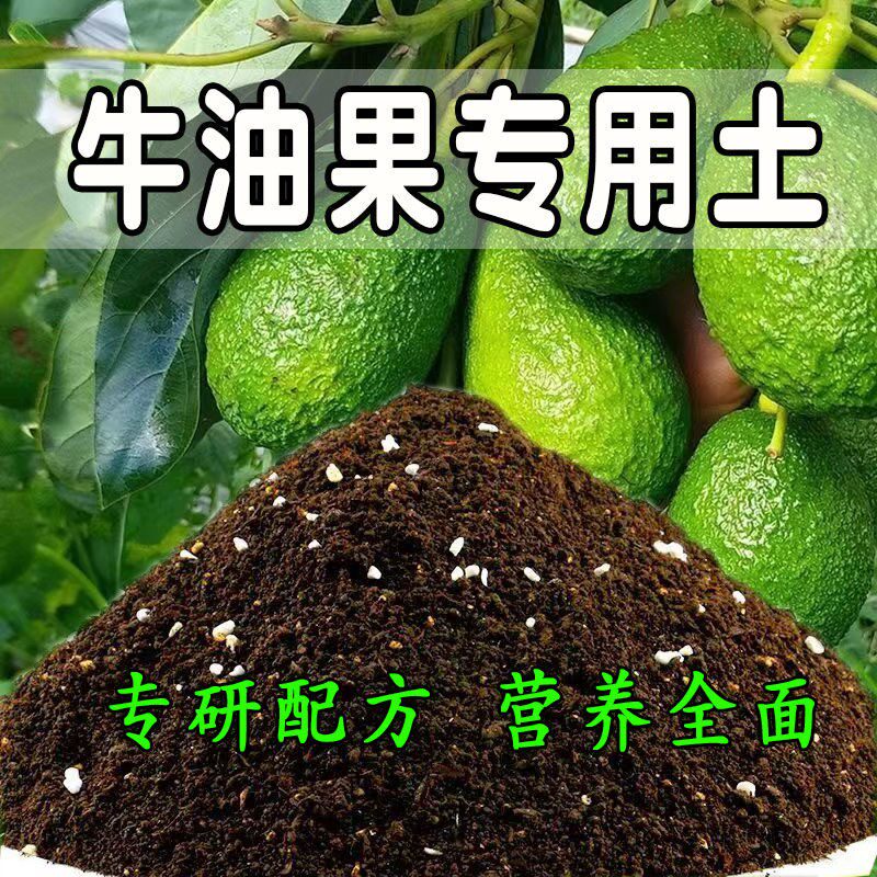 牛油果专用土牛油果土盆栽营养土酸性沙质泥炭土壤绿植种植土肥料