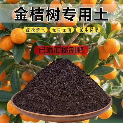 金桔树专用土育苗土泥土家用肥料土农业种金桔树专用营养土通用土