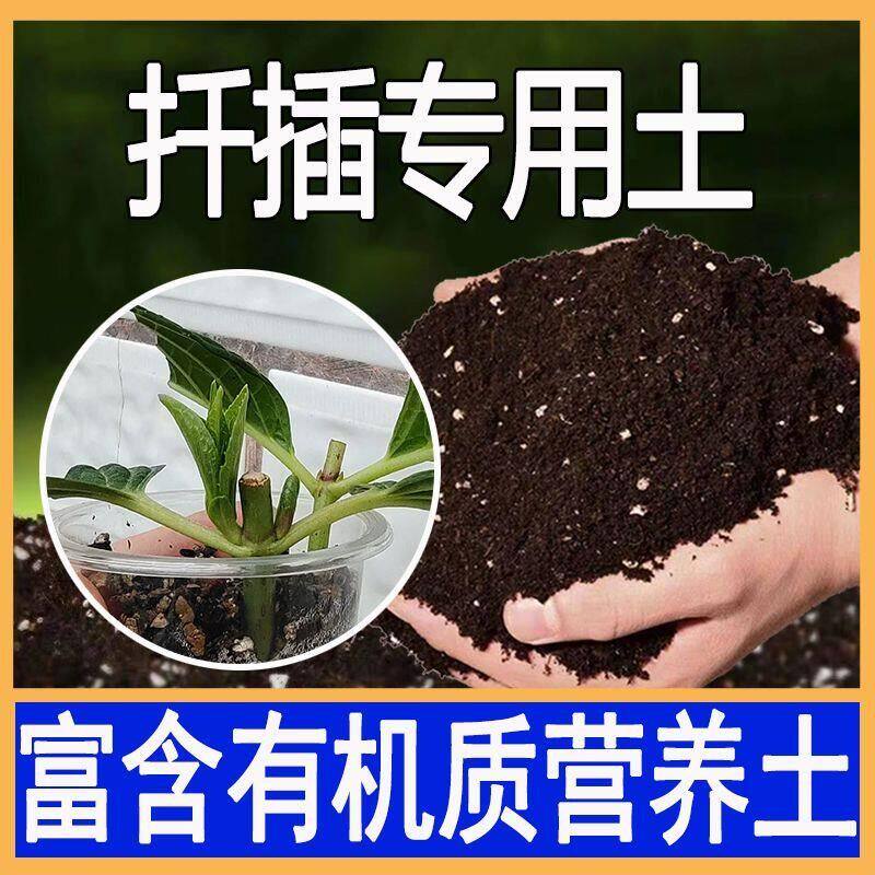 扦插专用土生根养花通用型土壤营养土种植土壤腐叶腐殖土营养土