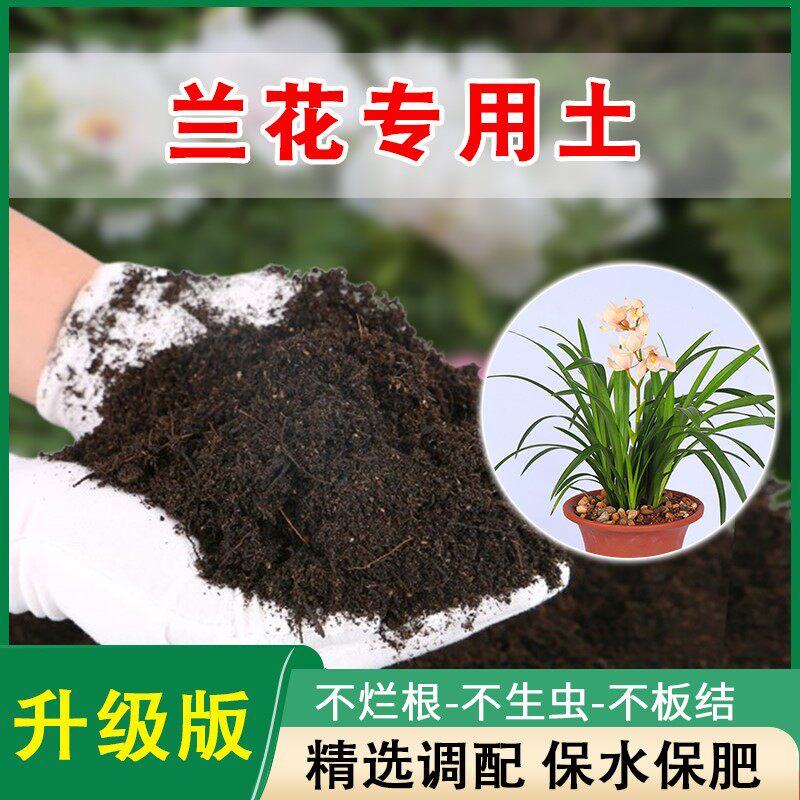 兰花专用土营养土虎皮兰君子兰种兰花的土壤通用花土泥炭土养花土