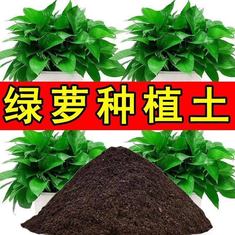 绿萝营养土绿萝盆栽土种植土室内花卉土阳台种花土养花土园艺土壤