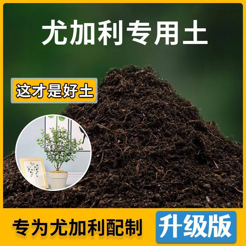 尤加利专用土尤加利营养土家用种植土壤家庭盆栽种花养花有机土