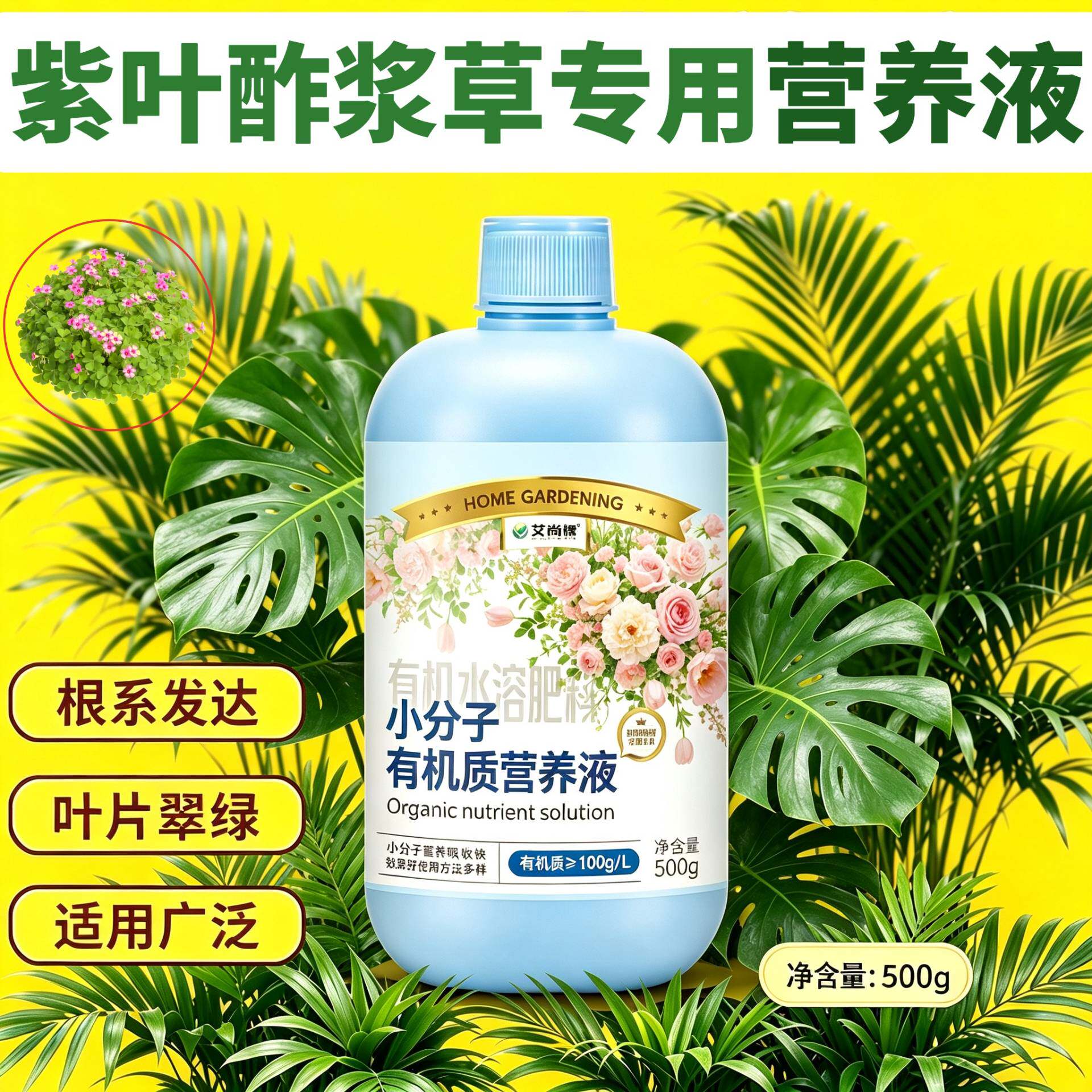 紫叶酢浆草专用浓缩型营养液小分子有机质水溶肥浓缩高效适用广泛