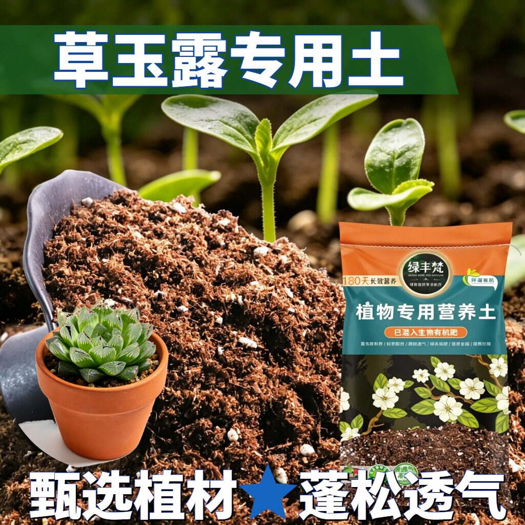 草玉露专用腐殖土温和基质地栽盆栽土精选增强孔隙实惠装喜酸土壤