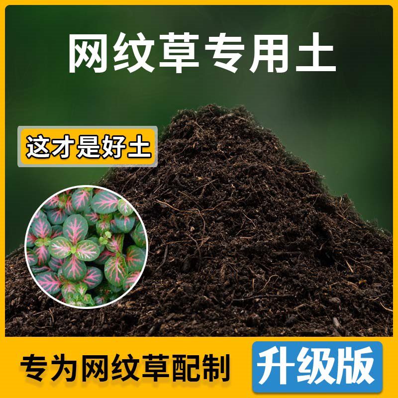 网纹草专用土网纹草营养土家用种植通用土壤盆栽种花养花有机土