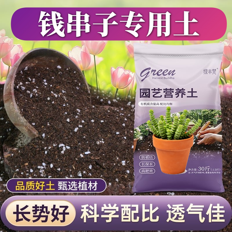 钱串子专用盆景土保水保肥室内包邮进口增色观花加有机肥园艺菜园