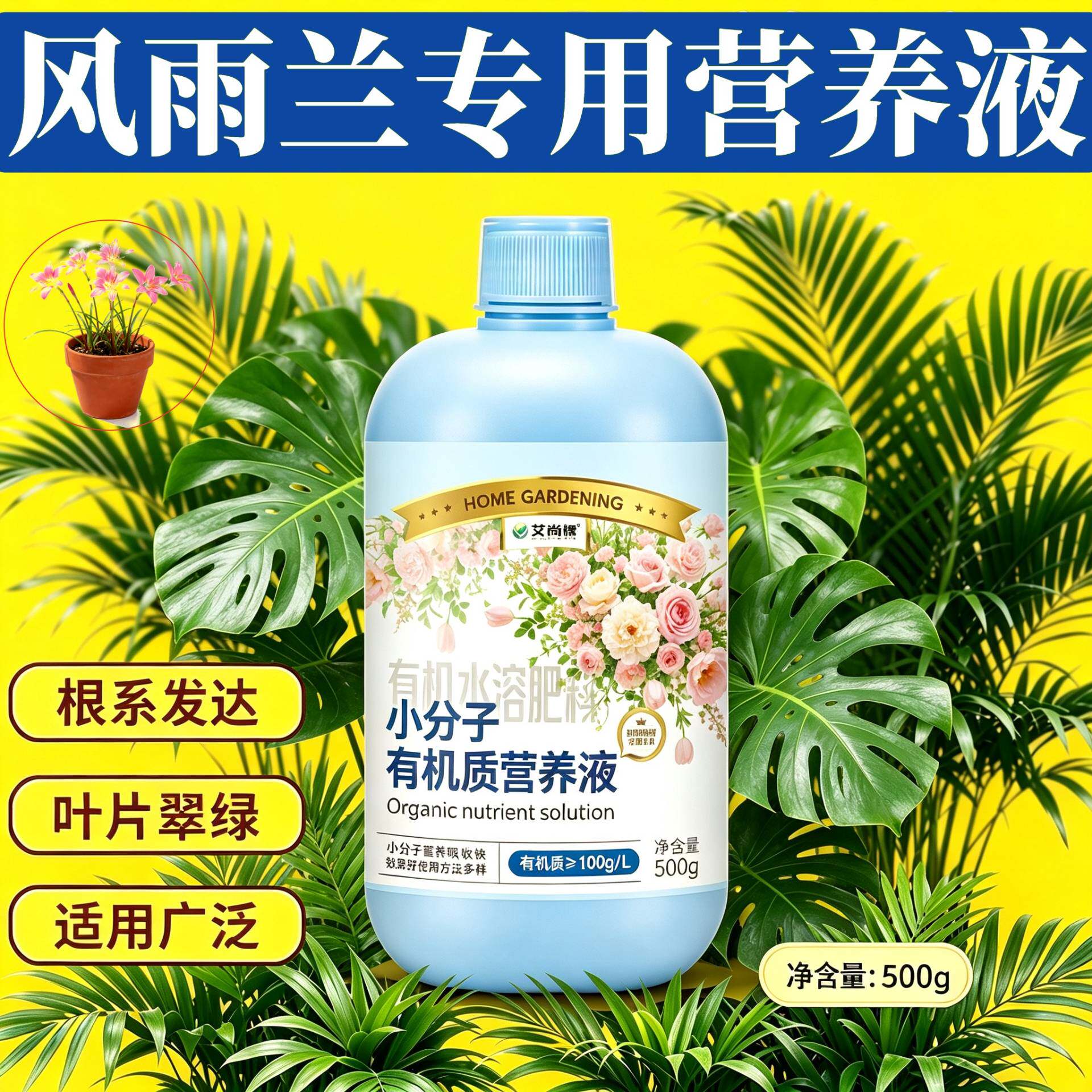 风雨兰专用小分子有机质水溶肥营养均衡叶绿花艳盆栽快速吸收园艺