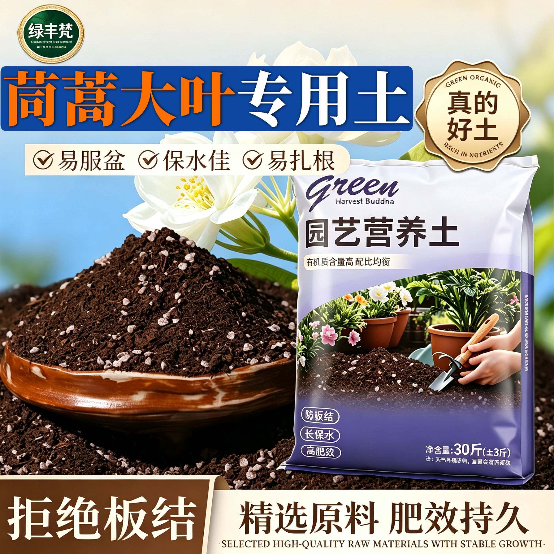 茼蒿大叶专用种菜土腐殖泥炭土盆景加深生根粉无菌绿叶多肉优质